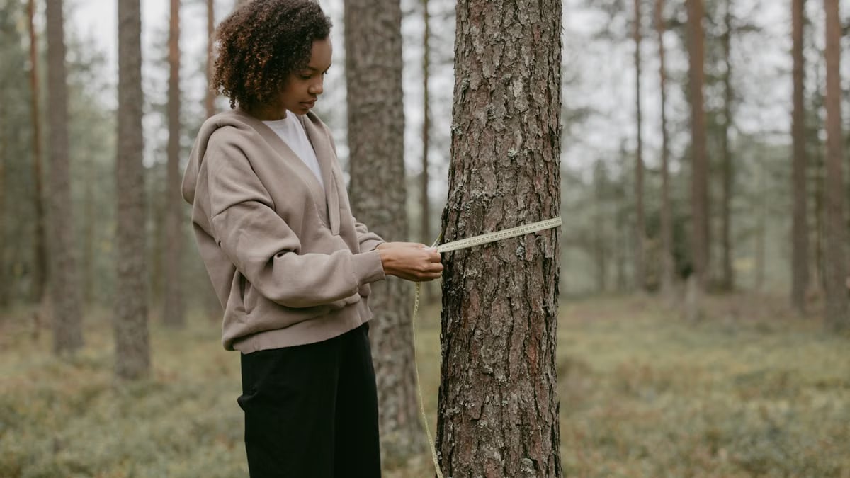 A young woman in a forest measuring the trunk of a tree with a tape measure.